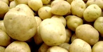 рішель домашні