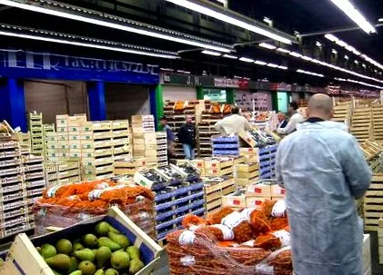 szállítói szállítói
