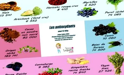 antioxidanților înțelegeți