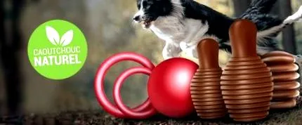 kutya husse