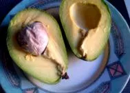 avocado