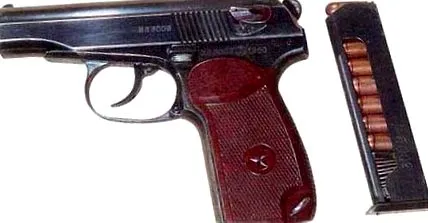 armelor enciclopedia