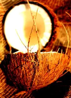 cocos