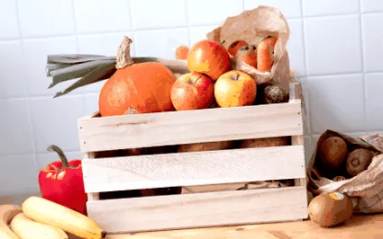alimentelor