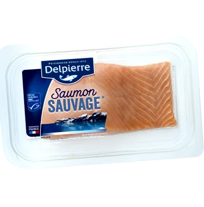 salmon
