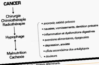 anorexia onkológia