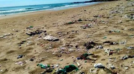 înlocuiască