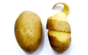 egészségre