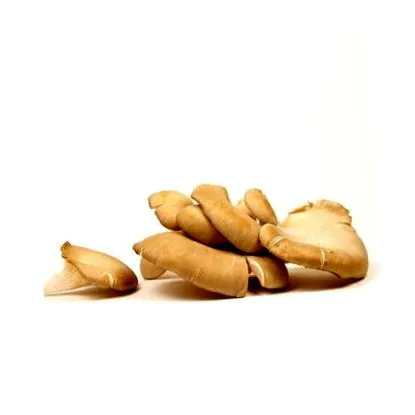 ciuperci ciuperci