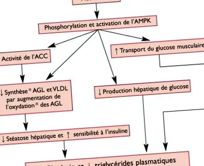 metformin