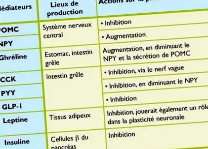 chestiune