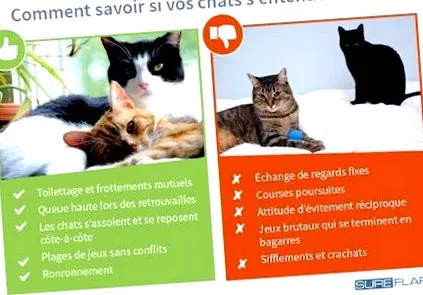 érdekében