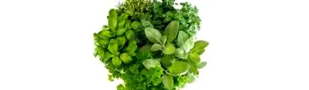 moderație
