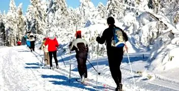 sport pierderea