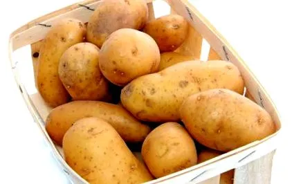főzés