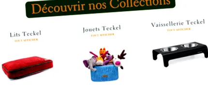 tacskó
