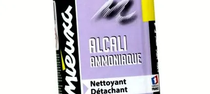 să-l este