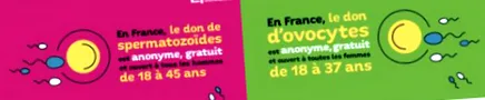 espoir