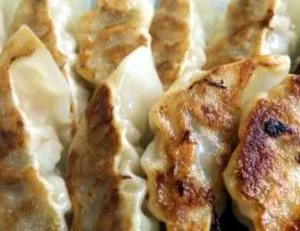 gyozas