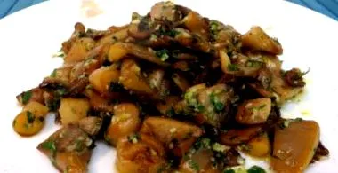 laskagomba laskagomba