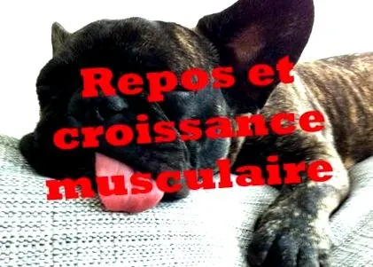odihnă creștere