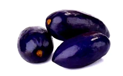 fructul