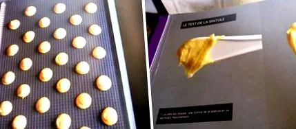 hogy choux