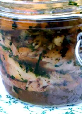 terrine terrine