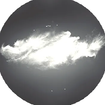 l-karnitin-kiegészítők