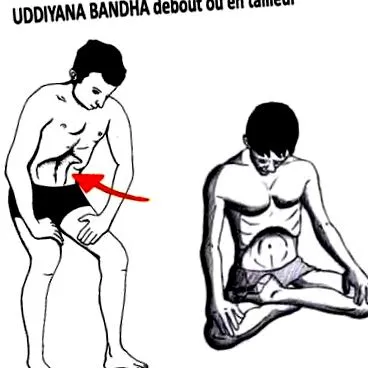 abdominale