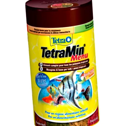 tetra