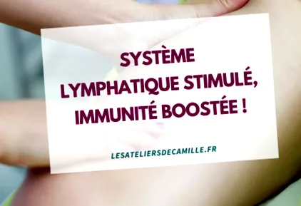 sistemul