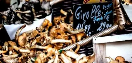 gătit
