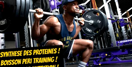 proteinelor