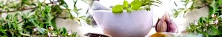 talmouse