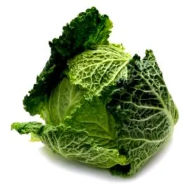 terhesség
