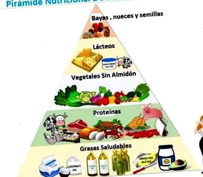 ketogén