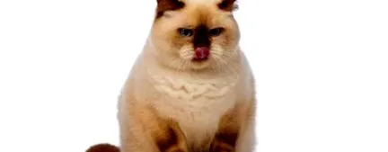 храним