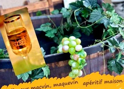 maquevin casă