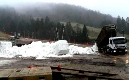 vosges care