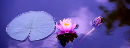 один