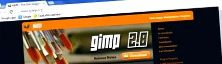 gimp