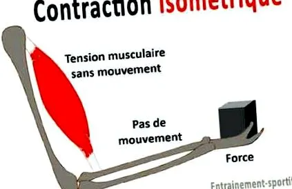 antrenament exerciții