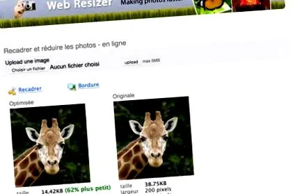 lehetővé teszi