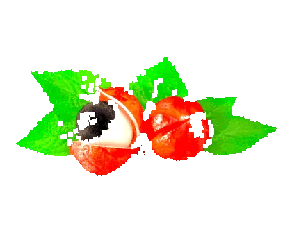 pill