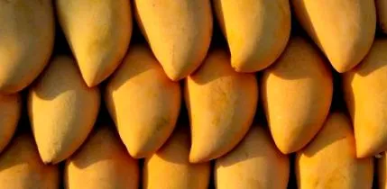 afrikai