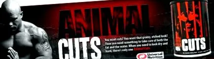 avisanalysis