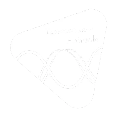 kalyaan