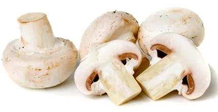 ciuperca