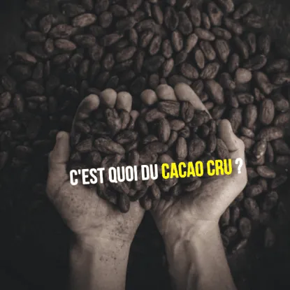 cacao cacao cacao